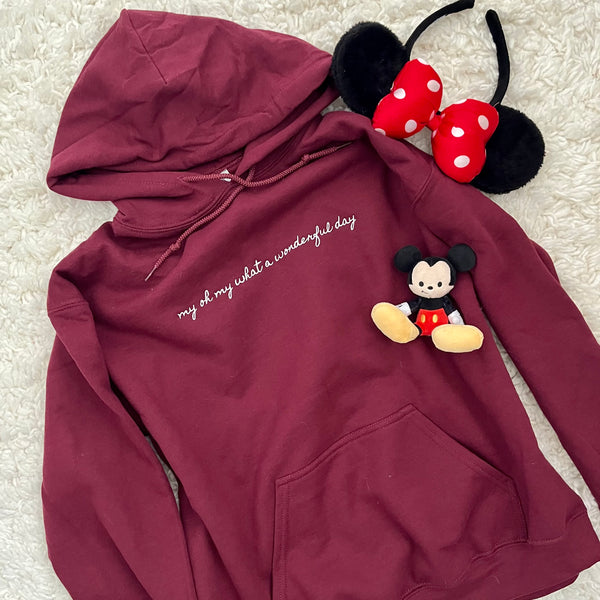 My Oh My What a Wonderful Day Disney EMBROIDERED Hoodie Sweatshirt Zip a Dee Doo Dah Disney Embroidered Hooded Sweatshirt