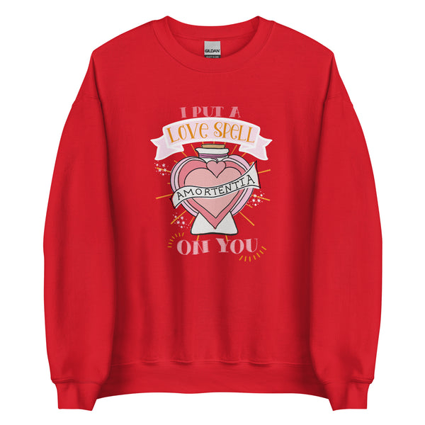 Love Potion Love Spell Sweatshirt I Put a Spell on You Valentine's Day Sweatshirt
