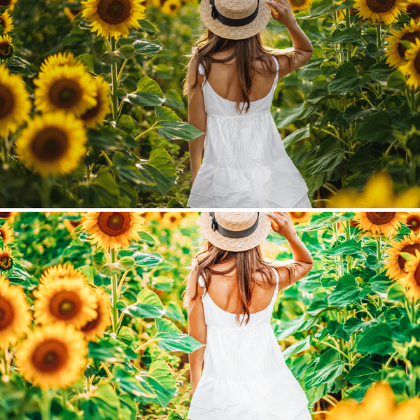 4 Mobile Lightroom Presets, Sunflower Sunshine Fall Lightroom Mobile Instagram Presets  Lifestyle presets Travel Photography Presets