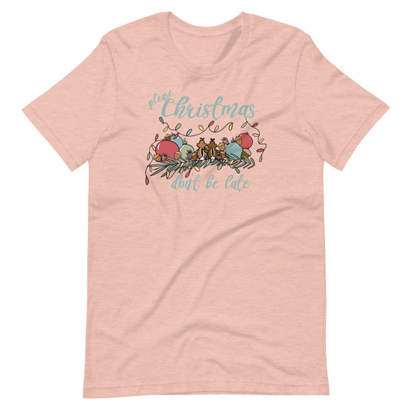 Chip and Dale Christmas T-Shirt Please Christmas Don't Be Late Chipmunk Song T-shirt