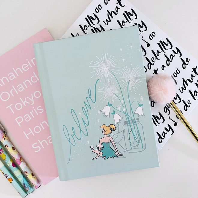 Disney Journals