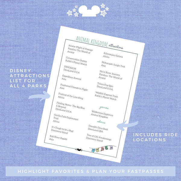 Disney Vacation Planner LIGHTNING LANE Planner Printable