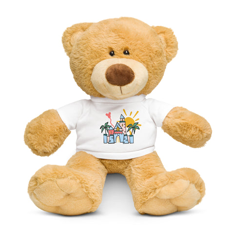 Disneyland Castle Teddy Bear with T-Shirt