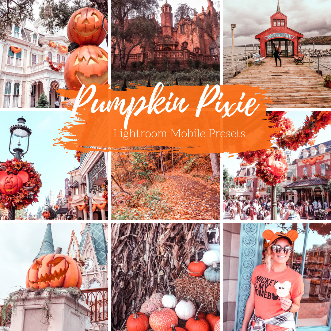 Pumpkin Lightroom Mobile Preset, Fall Lightroom Presets, Pumpkin Pixie Mobile Preset