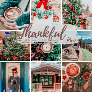 Warm Winter Presets Holiday Lightroom Mobile Presets, Lifestyle and Travel Blogger Presets