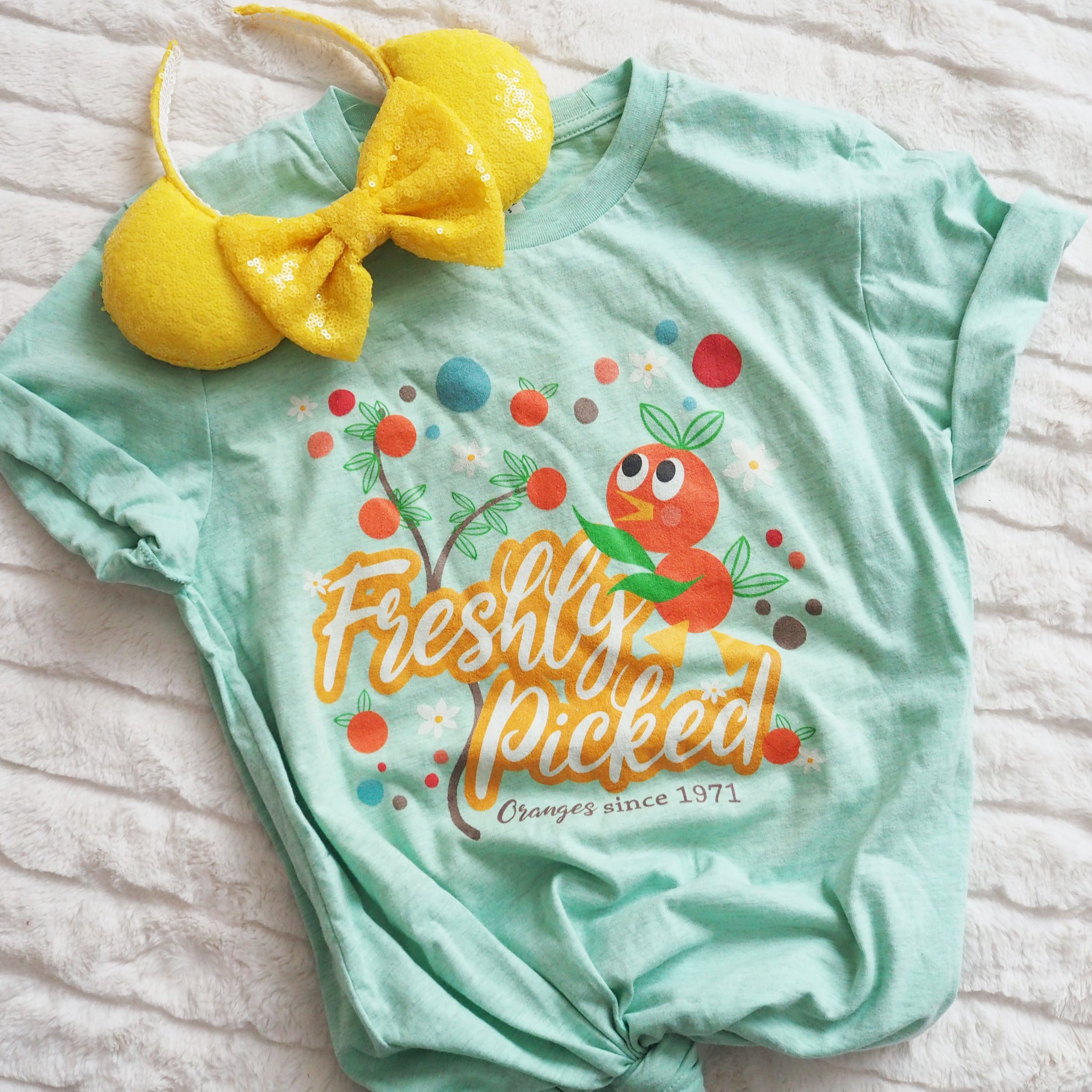 Orange Bird Freshly Picked T-shirt READY TO SHIP- Heather Prism Mint- Small