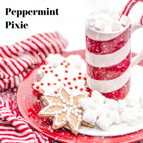 Peppermint Pixie Holiday Winter Cool Mobile Presets, Food Lifestyle and Travel Blogger Lightroom Presets