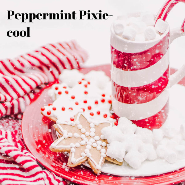 Peppermint Pixie Holiday Winter Cool Mobile Presets, Food Lifestyle and Travel Blogger Lightroom Presets