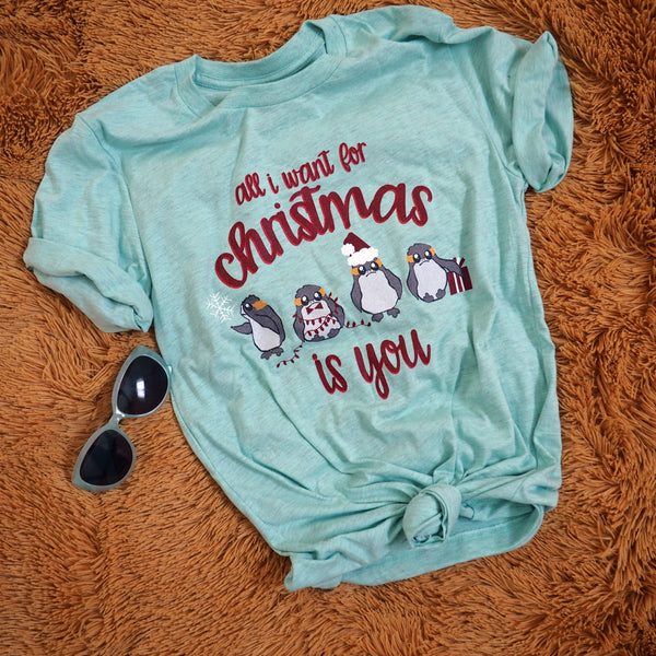 Christmas Star Wars Porg Unisex T-Shirt, All I want for Christmas is You.  Disney Inspired Tee