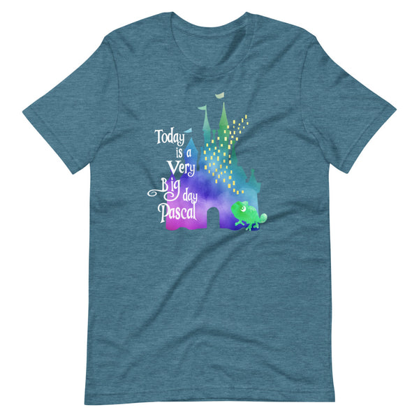 Disney Tangled Rapunzel Pascal Castle T-shirt Today is a Very Big Day