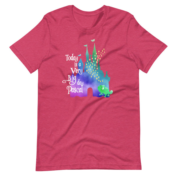 Disney Tangled Rapunzel Pascal Castle T-shirt Today is a Very Big Day