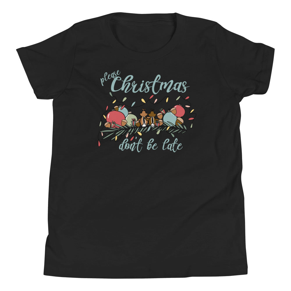 Chip and Dale Christmas Kids T-Shirt Please Christmas Don't Be Late Chipmunk Song Kids T-shirt